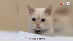 요즘이슈_02_동물 너와 보내는 행복한 하루